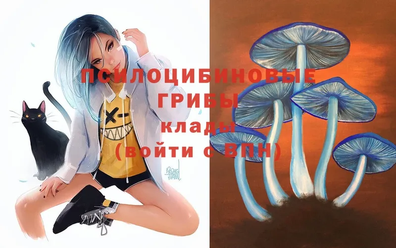 где можно купить наркотик  Козьмодемьянск  Галлюциногенные грибы Magic Shrooms 